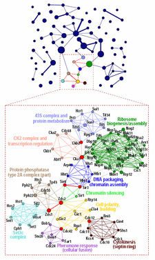 PPI communities, click to enlarge